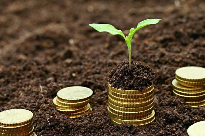 Gestión de finanzas personales en Argentina